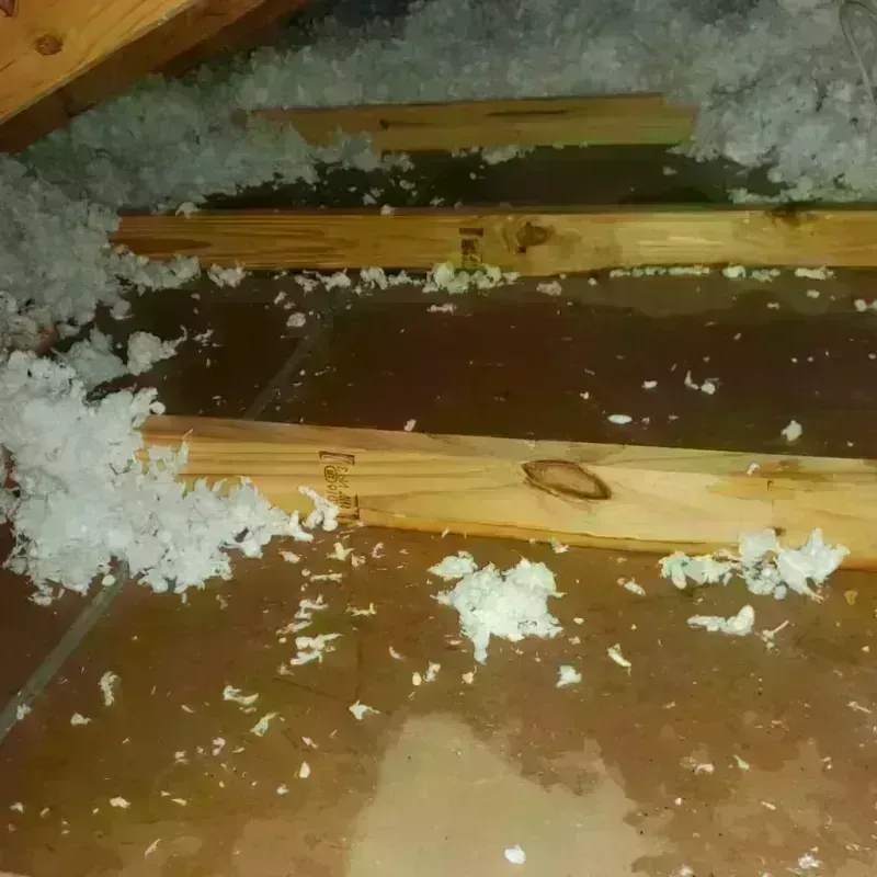 Attic Water Damage in Lyons, KS