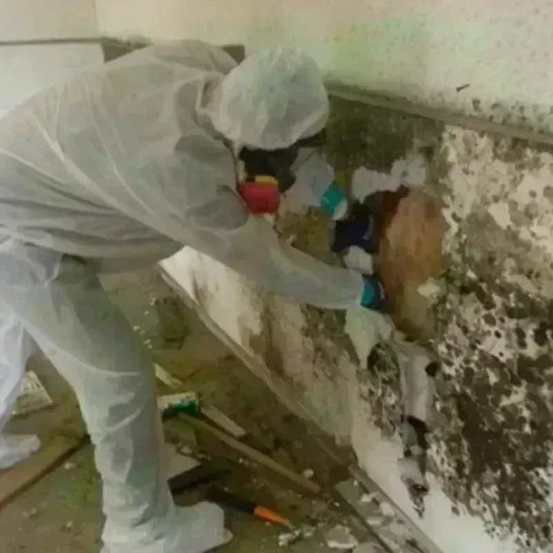 Mold Remediation and Removal in Lyons, KS